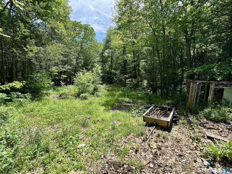 63 Fox Brook Road Hartland CT 06027