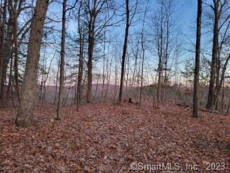 523 Main North Street Woodbury CT 06798