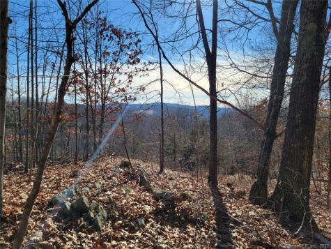 523 Main North Street Woodbury CT 06798