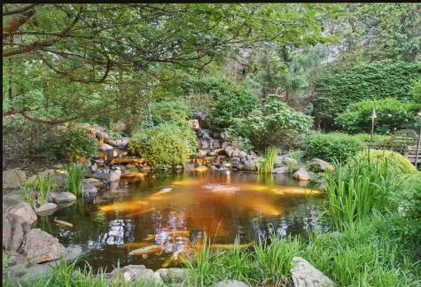 34 Carrington Drive Greenwich CT 06831