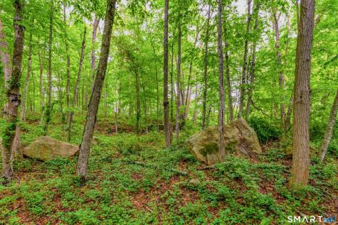 73 Long Hill Road Deep River CT 06417
