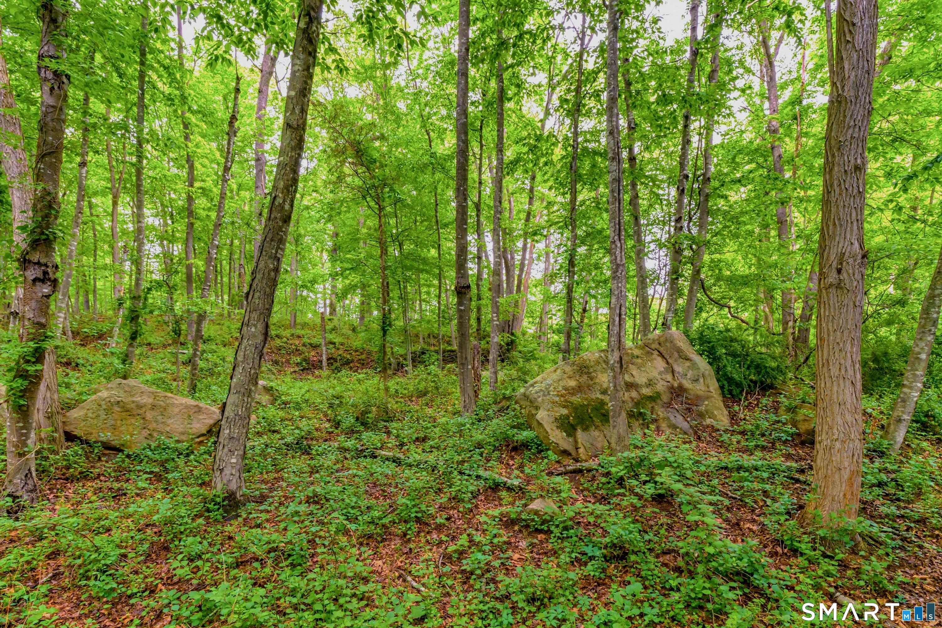 73 Long Hill Road Deep River CT 06417