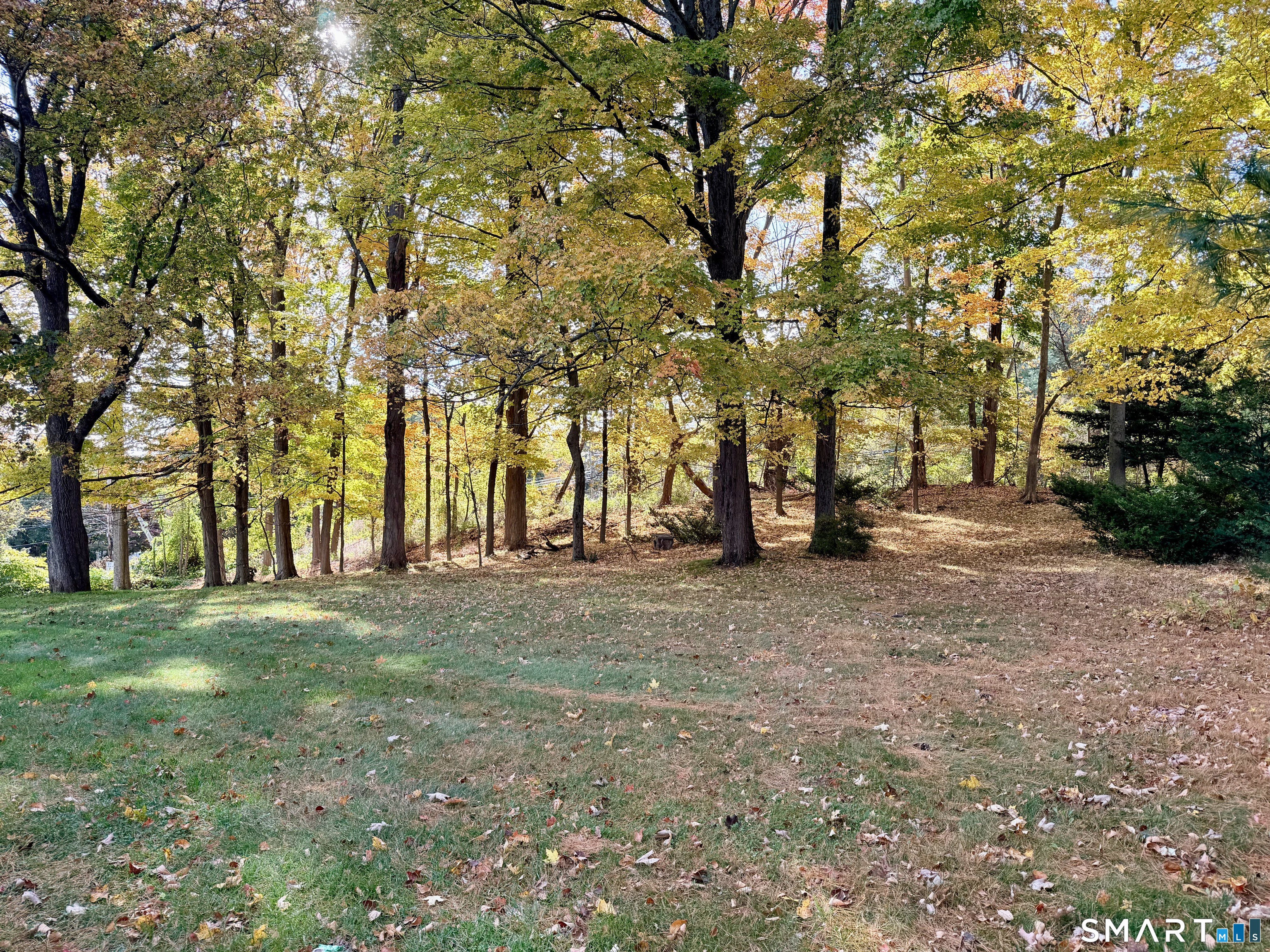 5 Lovelace Drive West Hartford CT 06117