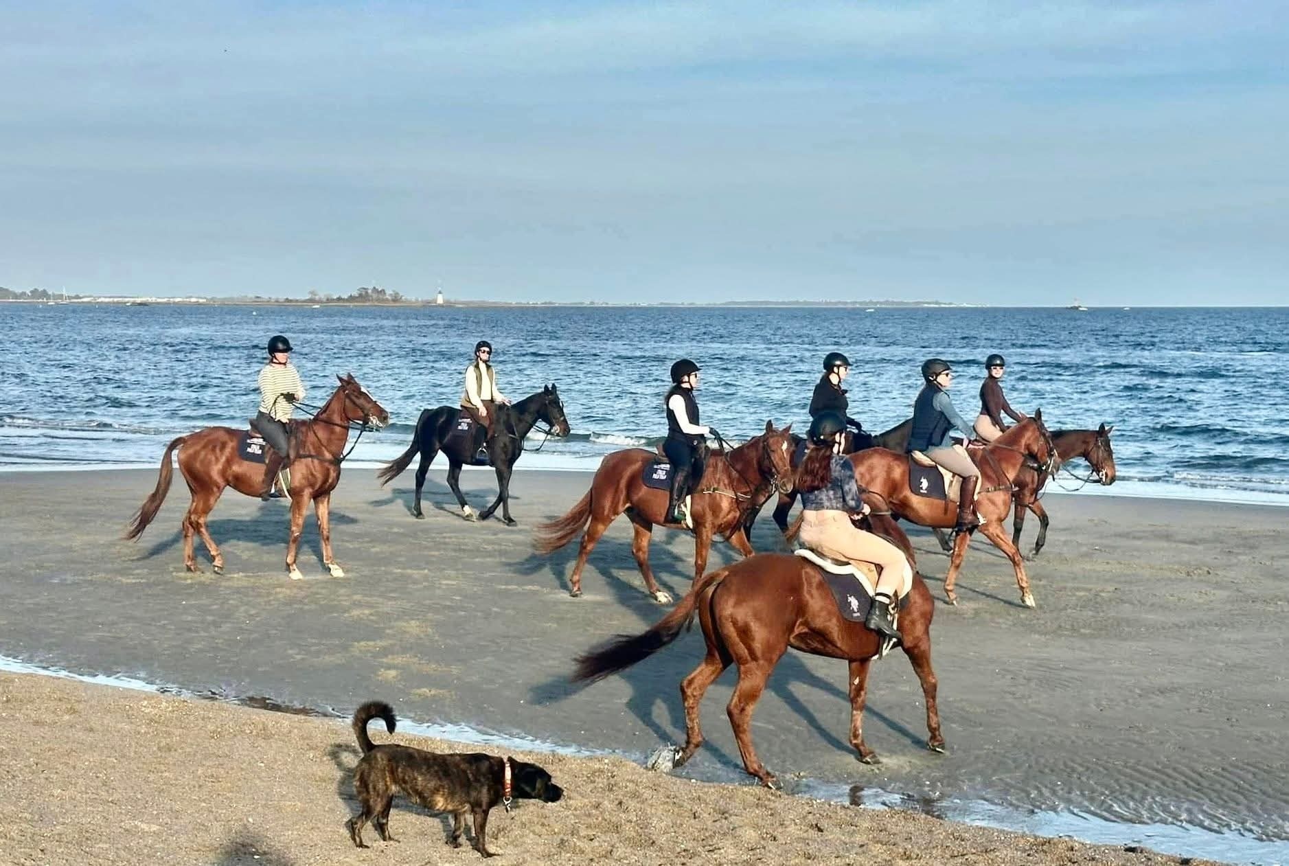 127 Paul Place Fairfield CT 06824