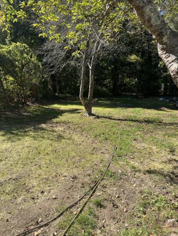 44 Woodlawn Avenue Ansonia CT 06401