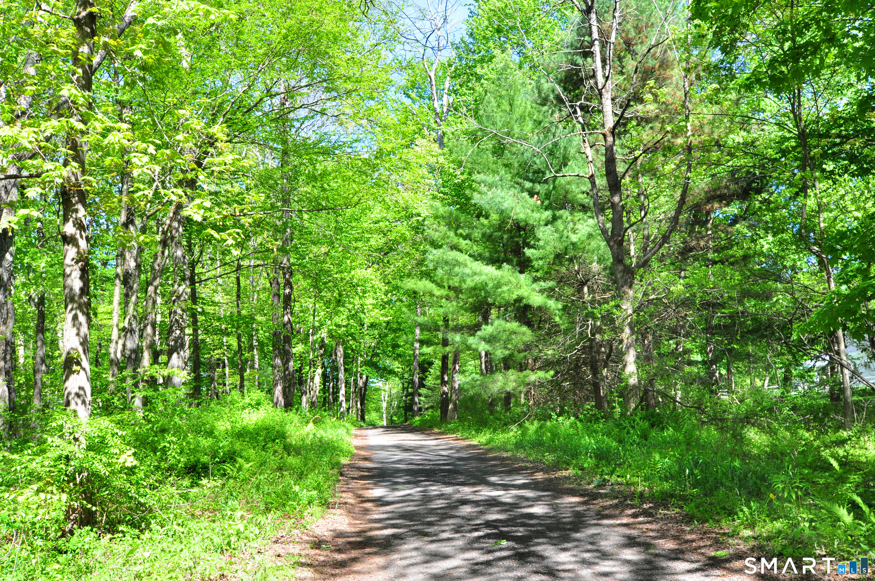 63 Shearer Road Washington CT 06793