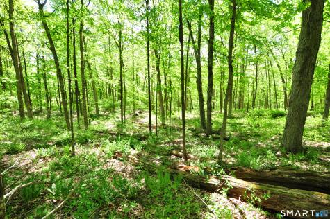 63 Shearer Road Washington CT 06793