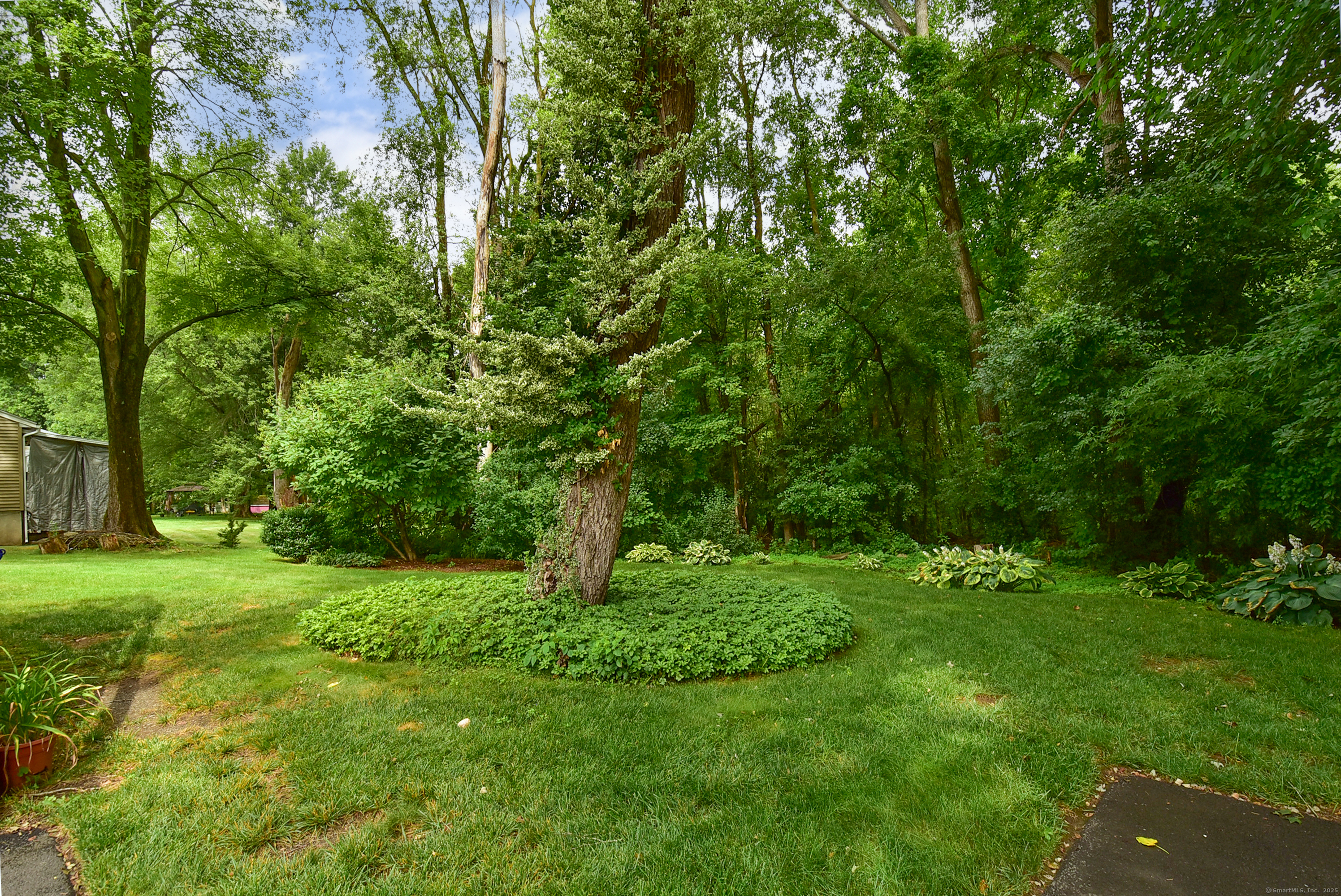 256 Park Avenue Bloomfield CT 06002