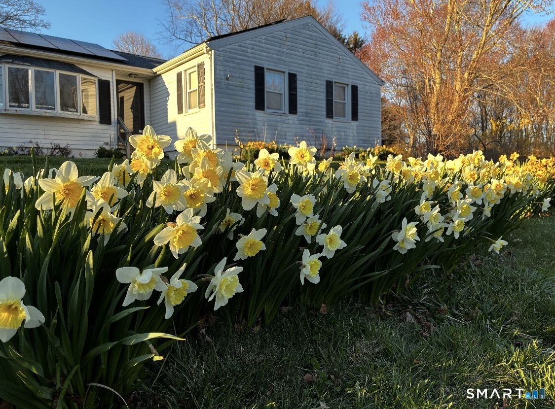 10 Barone Road East Lyme CT 06357