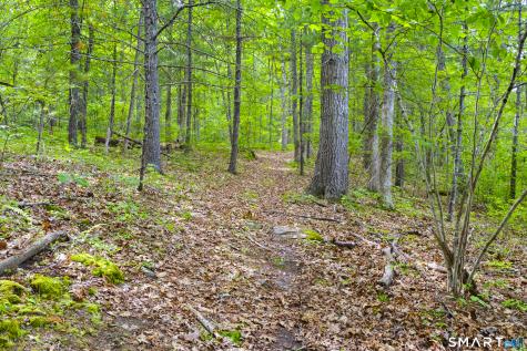 156 Cranberry Bog Road Killingly CT 06239