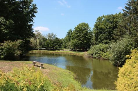 8 Dillon Road Woodbridge CT 06525