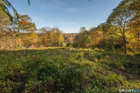 3 Morrissey Lane Bridgewater CT 06752