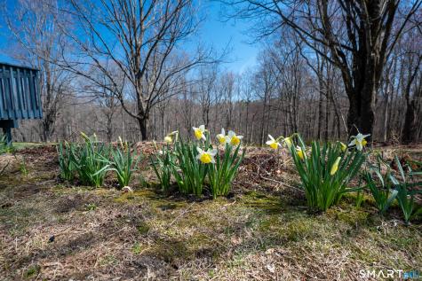 46 High Ridge Road Brookfield CT 06804