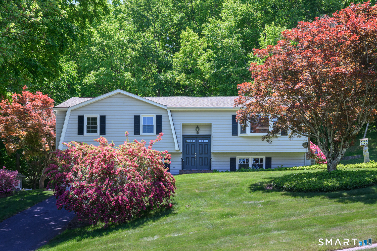 Bristol CT 06010