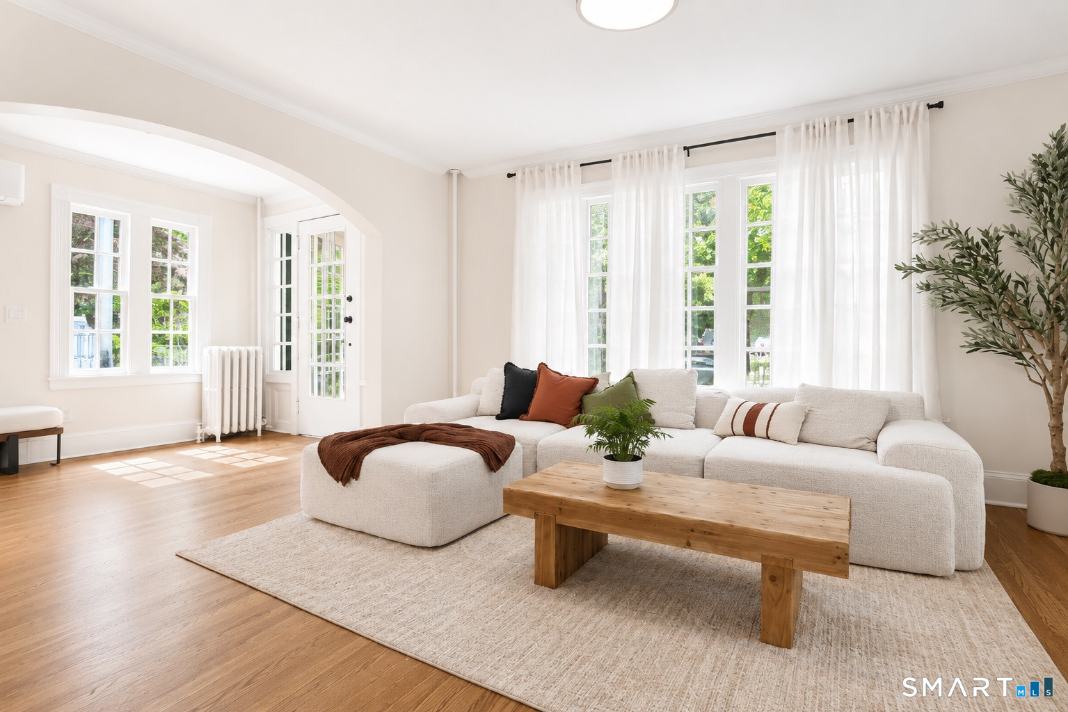 194 Canner Street New Haven CT 06511