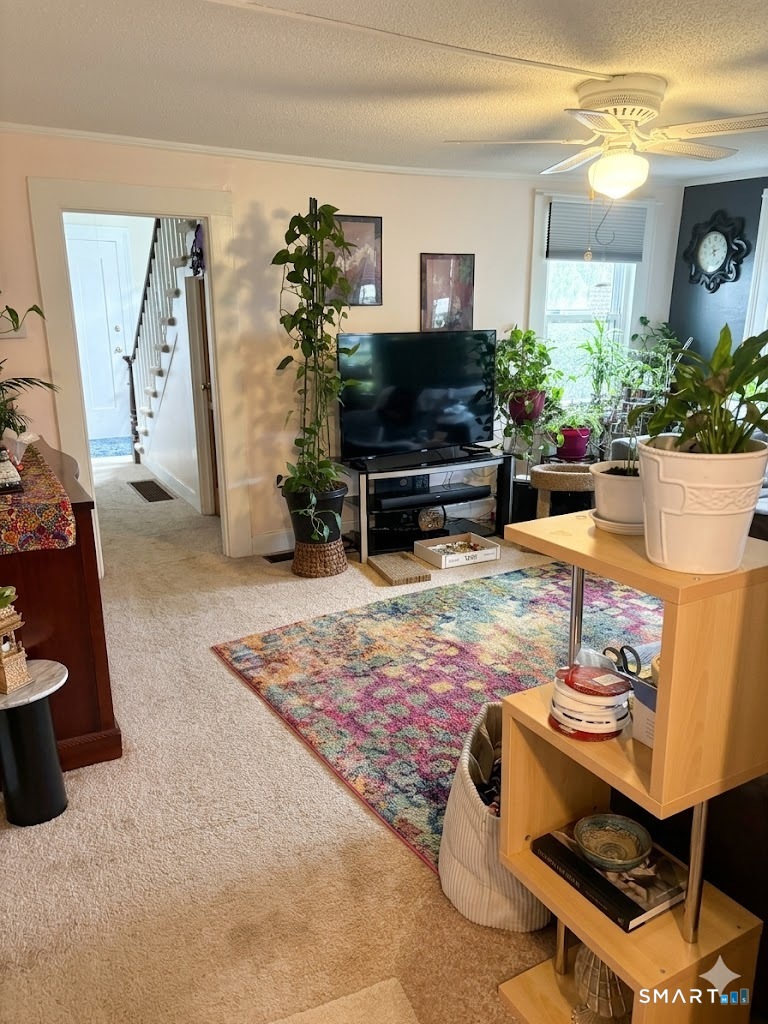 518 Prospect Street Naugatuck CT 06770