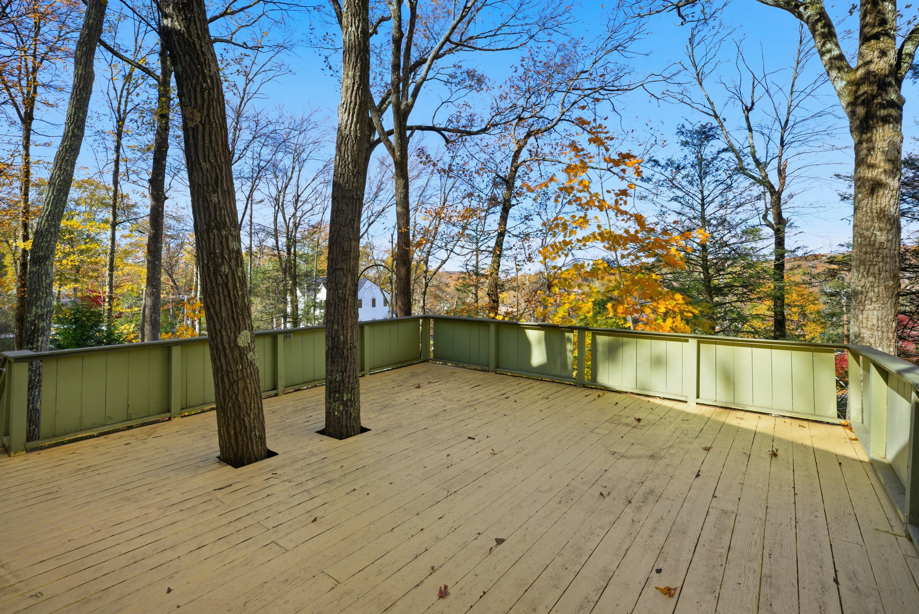 27 Carol Street Danbury CT 06810