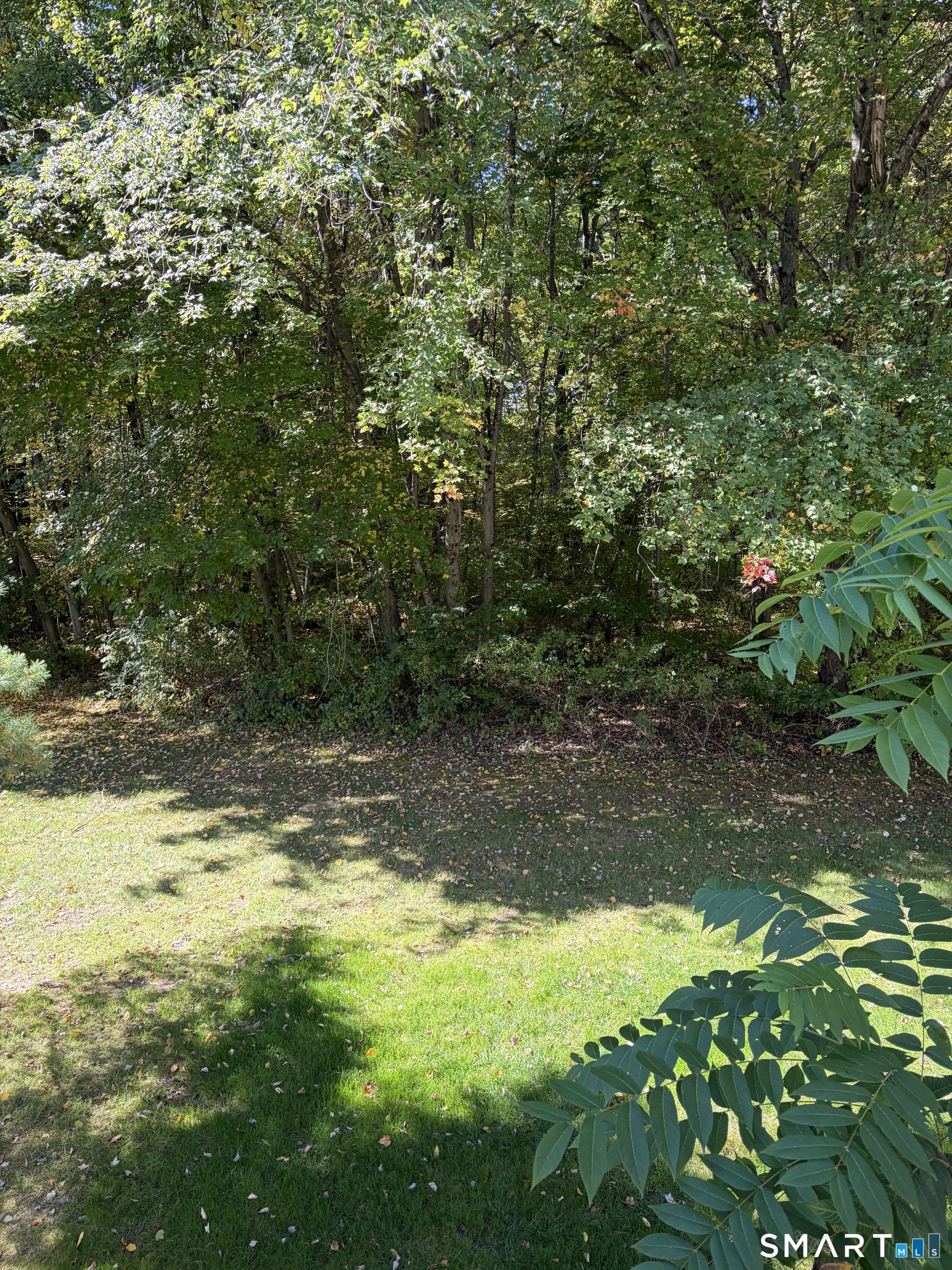 27 Tamarack Drive Bloomfield CT 06002