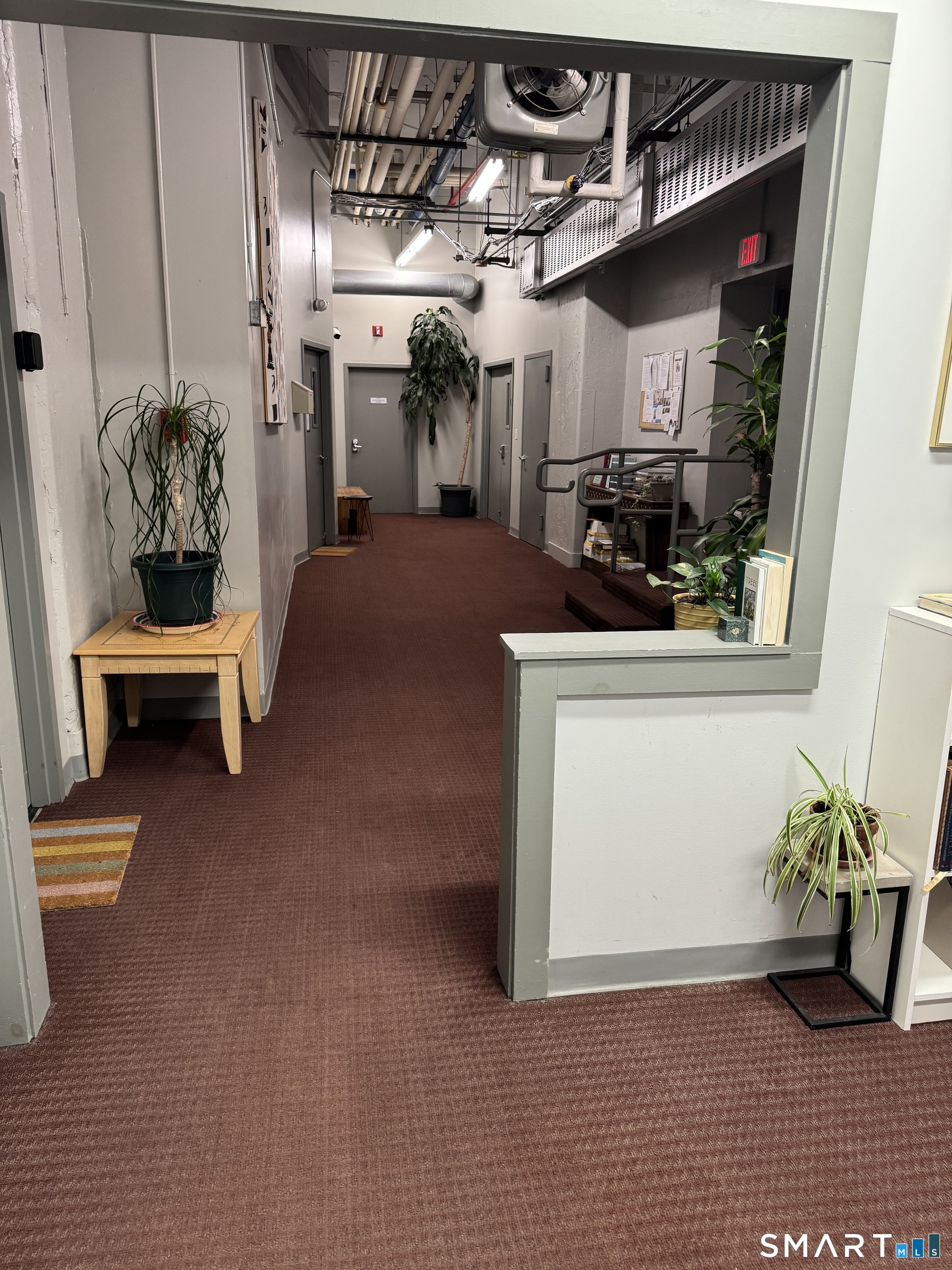 124 Court Street New Haven CT 06516