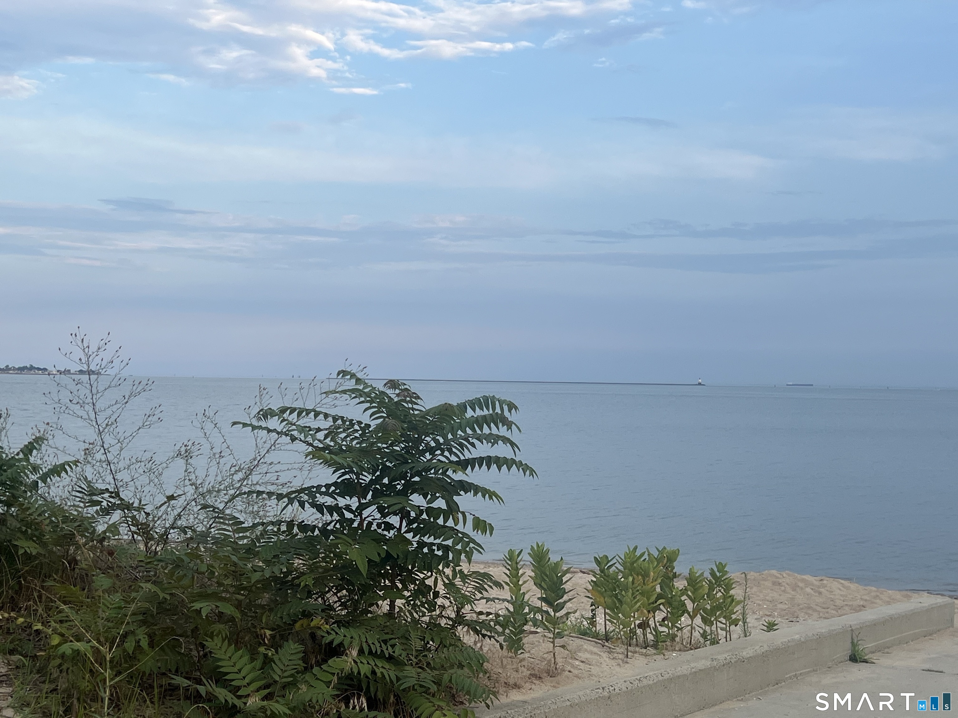 36 East Avenue West Haven CT 06516