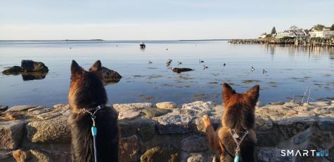 117 Water Street Stonington CT 06378