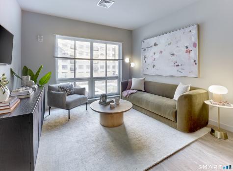 New Haven CT 06511