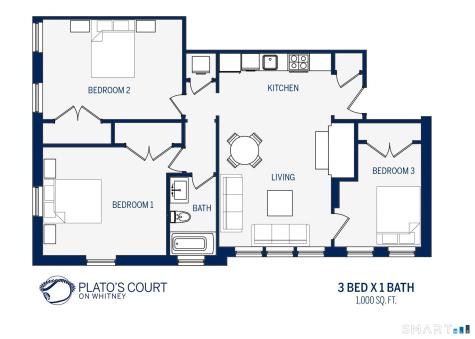 245 Whitney Avenue New Haven CT 06511