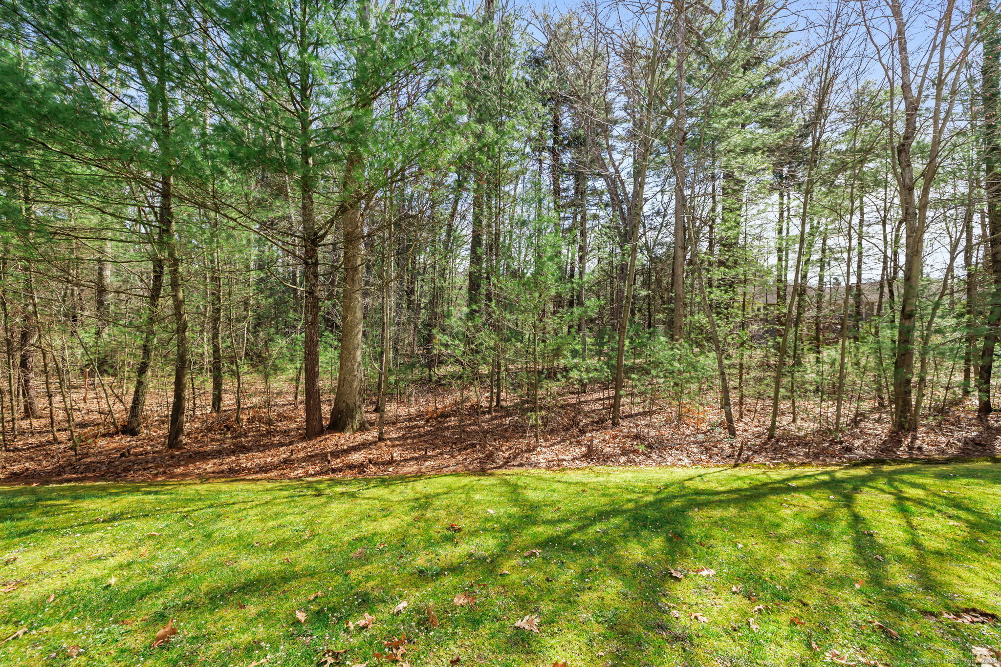 38 Brighton Park Way Bloomfield CT 06002