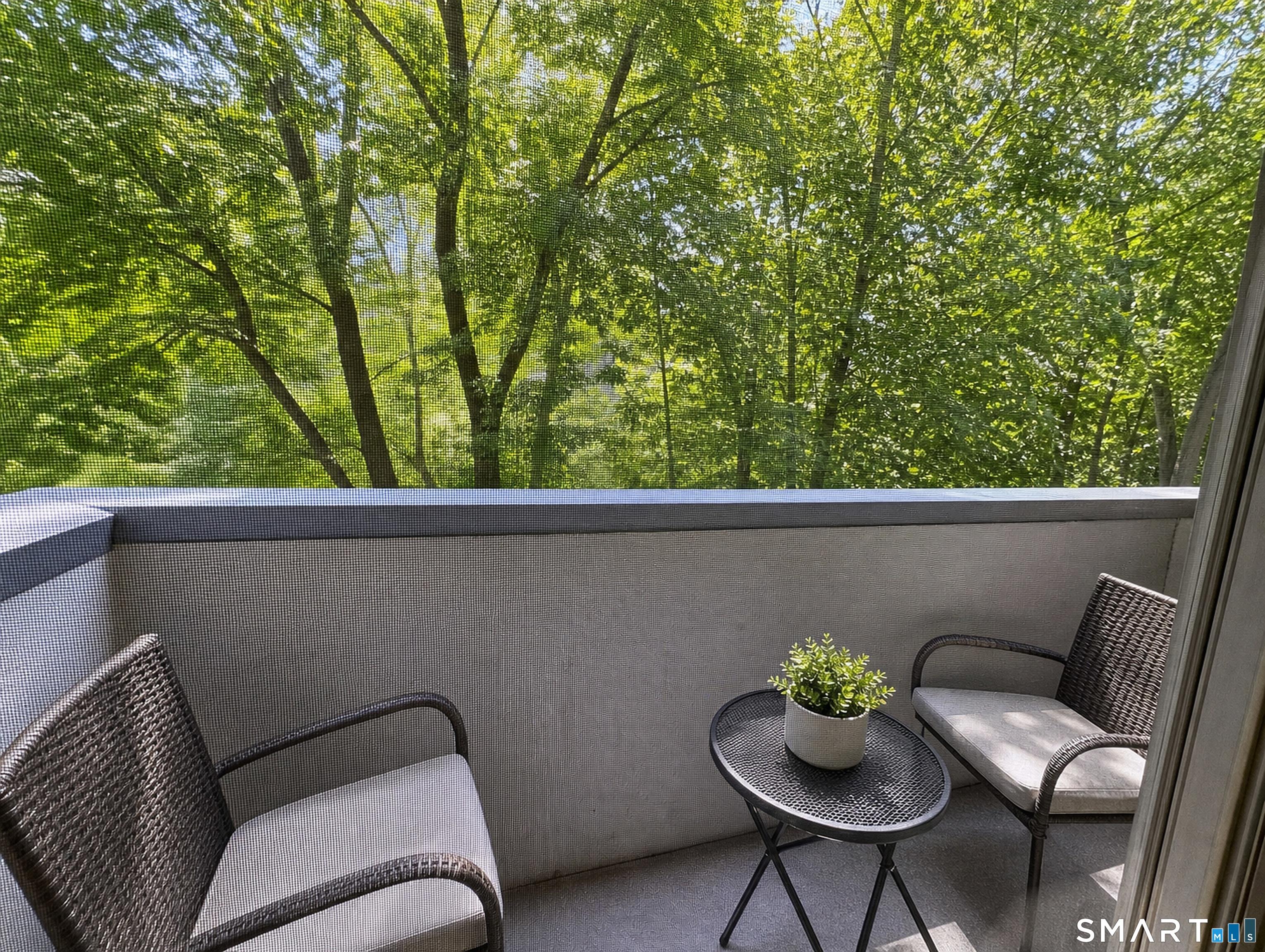 267 West Cedar Street Norwalk CT 06854