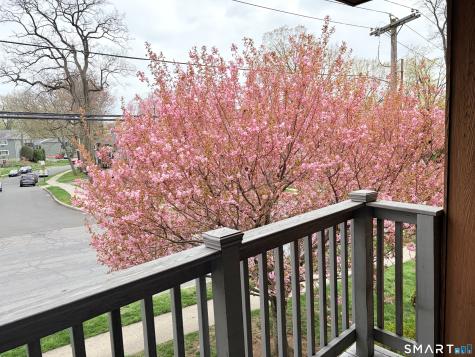 44 Riverview Drive Bridgeport CT 06606