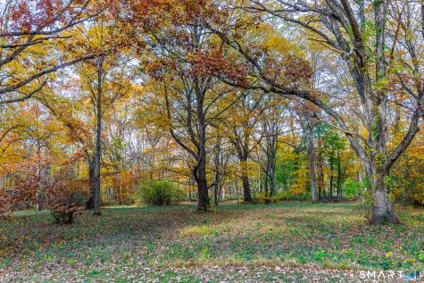 249 Woodbury Road Washington CT 06793