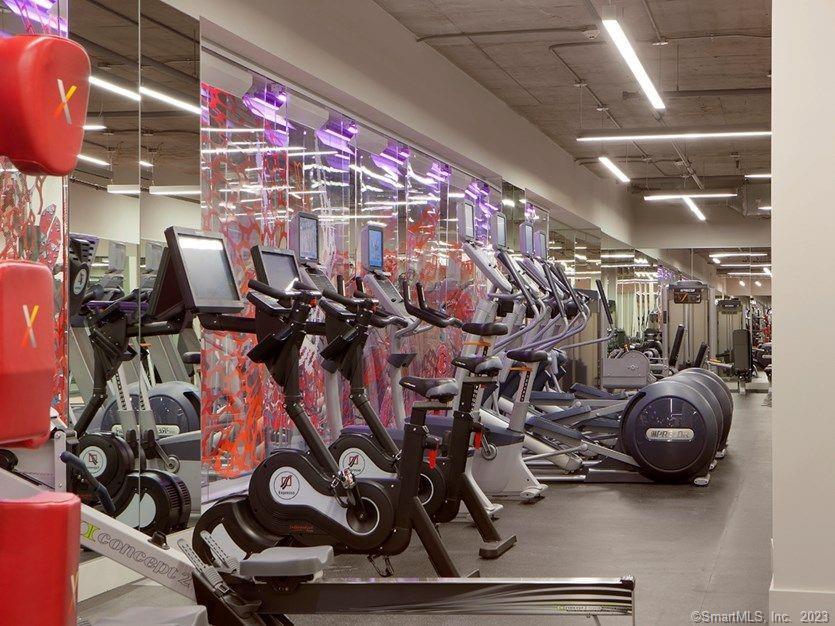 Rentals NewBridge International Realty