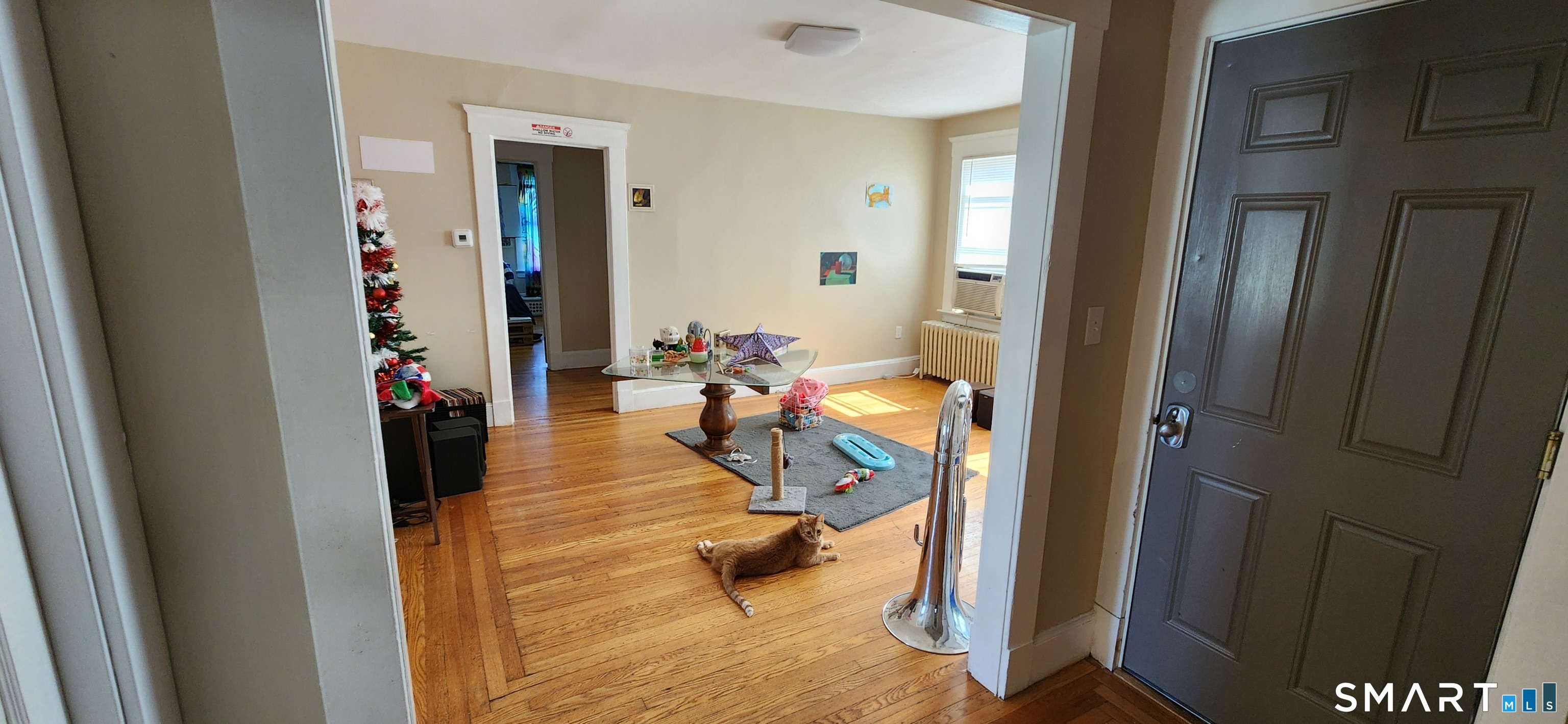 352 Elm Street West Haven CT 06516