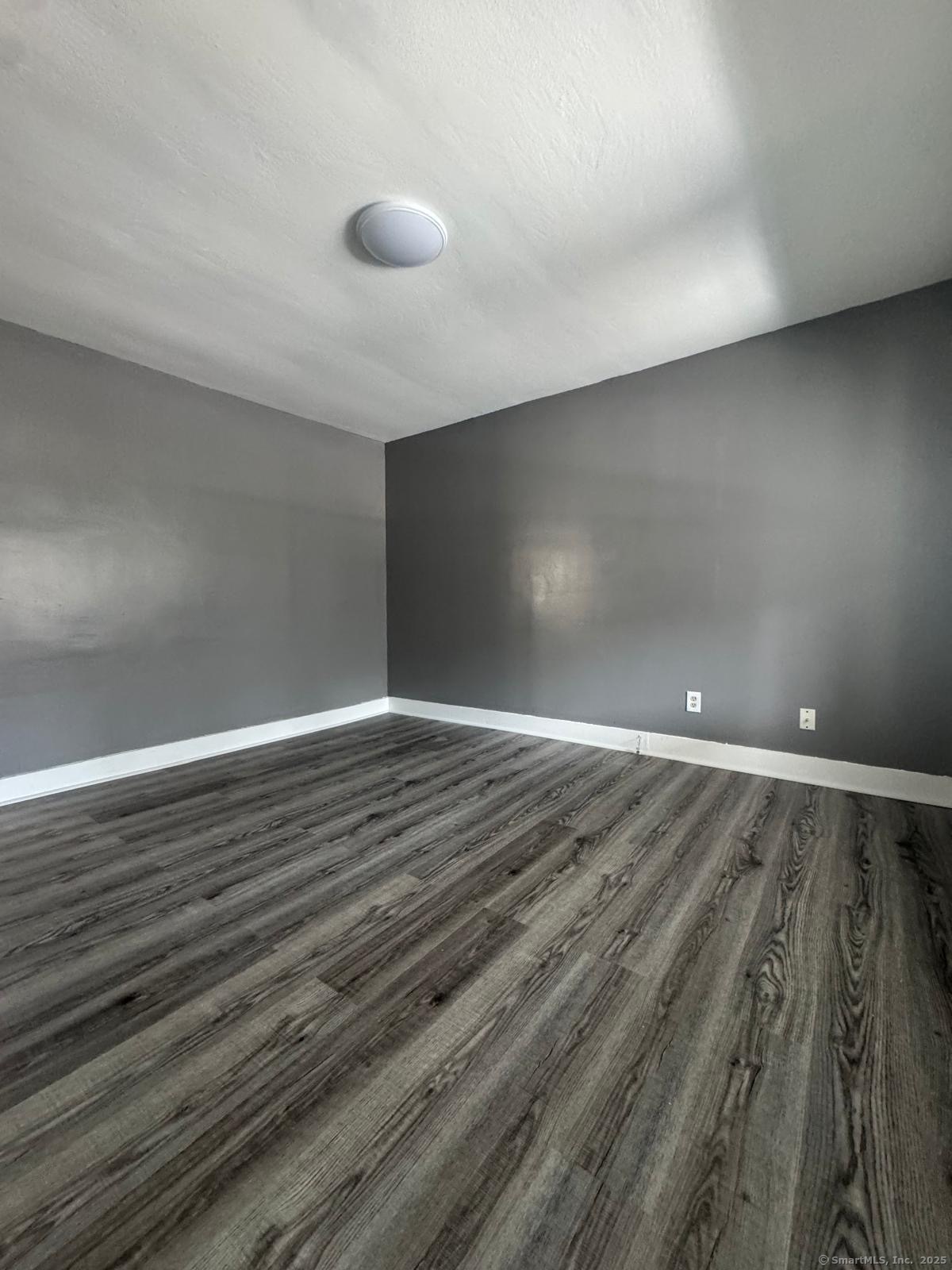 16 Vine Street New Haven CT 06519