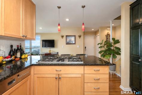 10 Harbour Close Unit 10 New Haven CT 06405