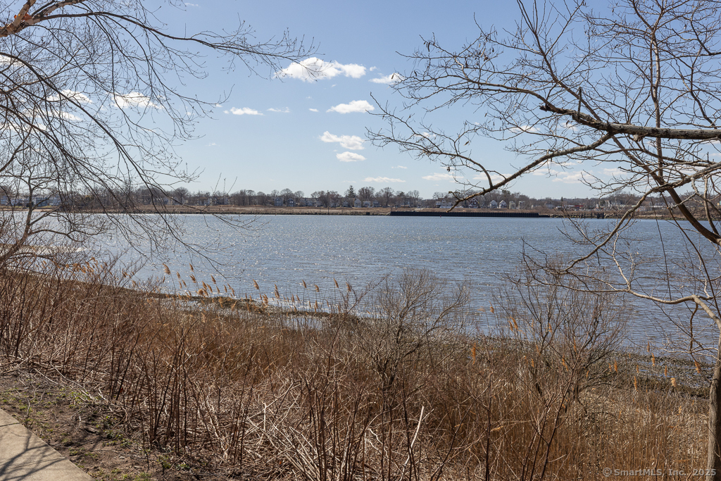 300 Harbour Close New Haven CT 06519