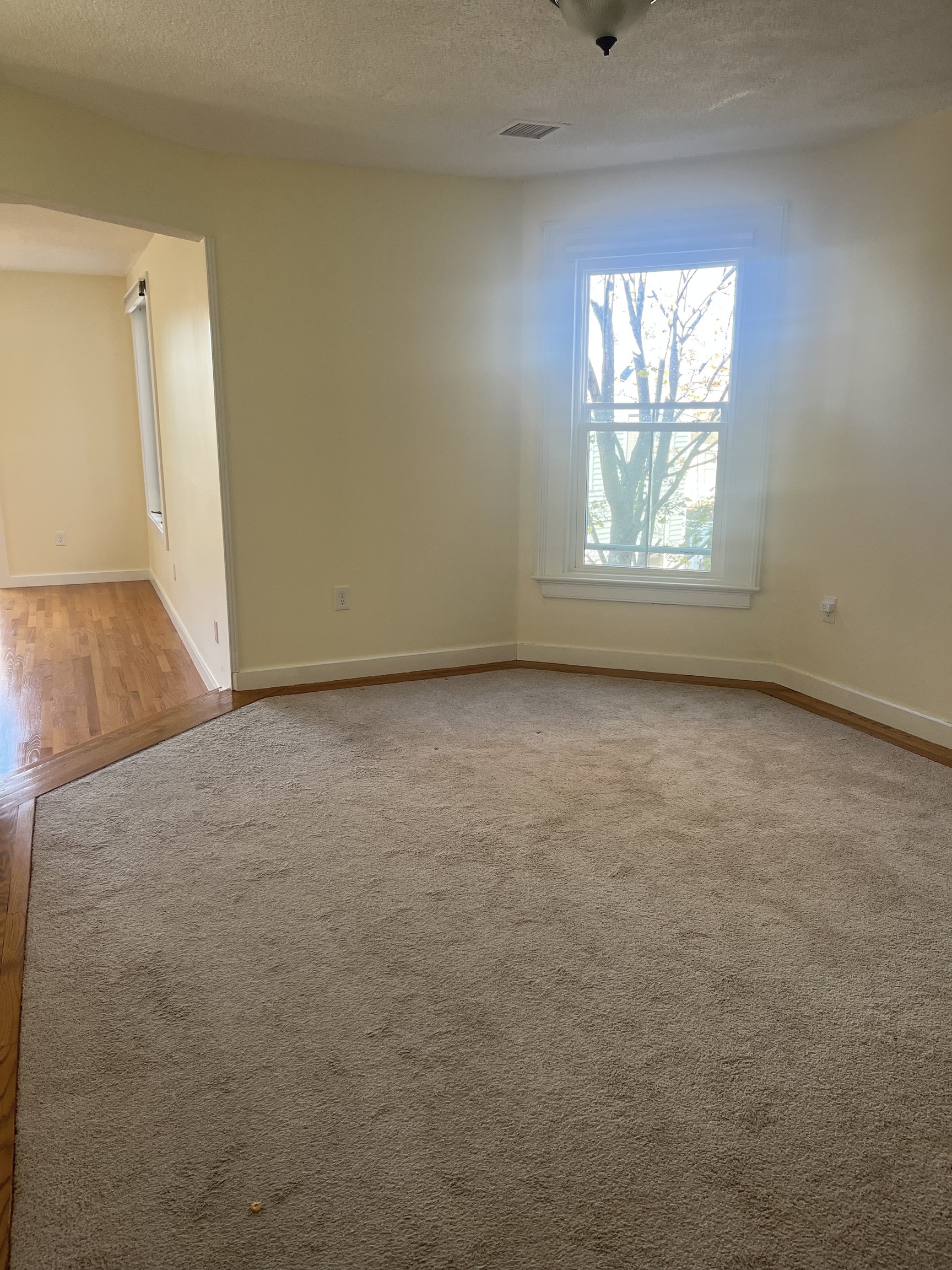 896 Quinnipiac Avenue New Haven CT 06513