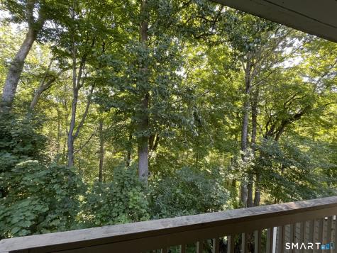 53 Brushy Plain Road Branford CT 06405