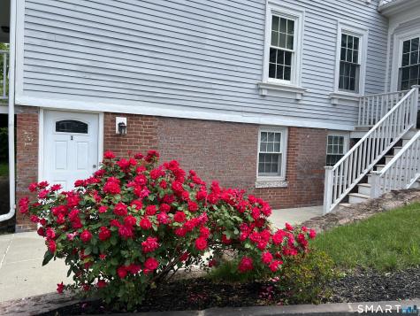 467 Quinnipiac Avenue New Haven CT 06513