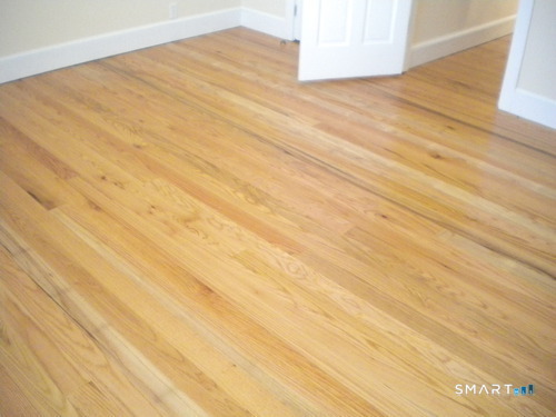 118 Lawrence Street New Haven CT 06511