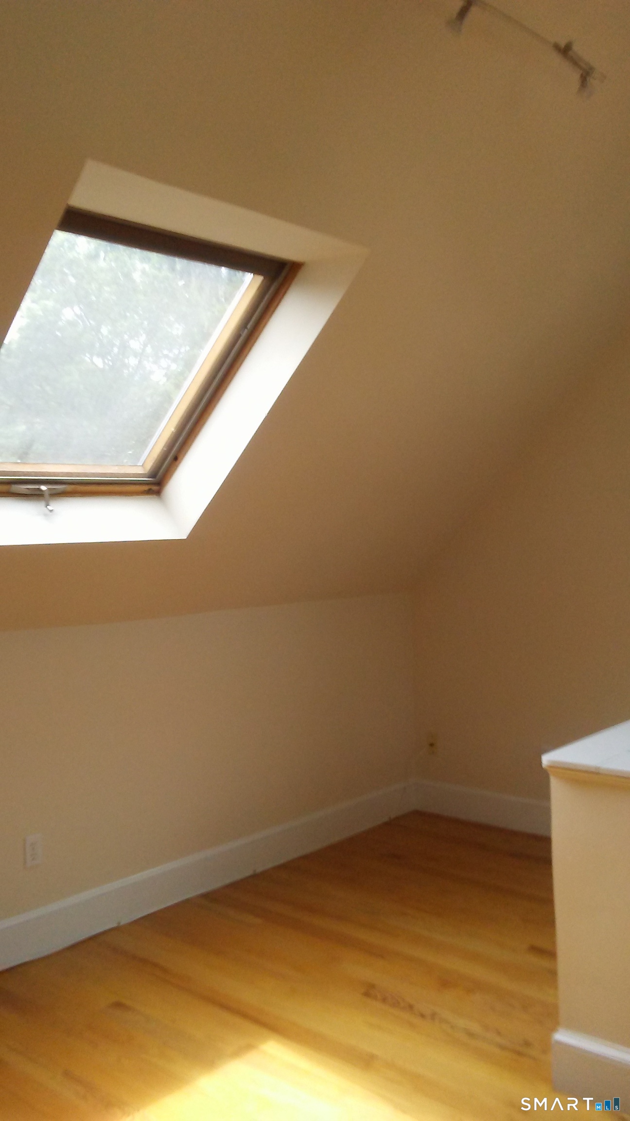 118 Lawrence Street New Haven CT 06511