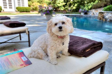 62 Weston Road Westport CT 06880