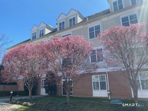 144 East Avenue Norwalk CT 06851