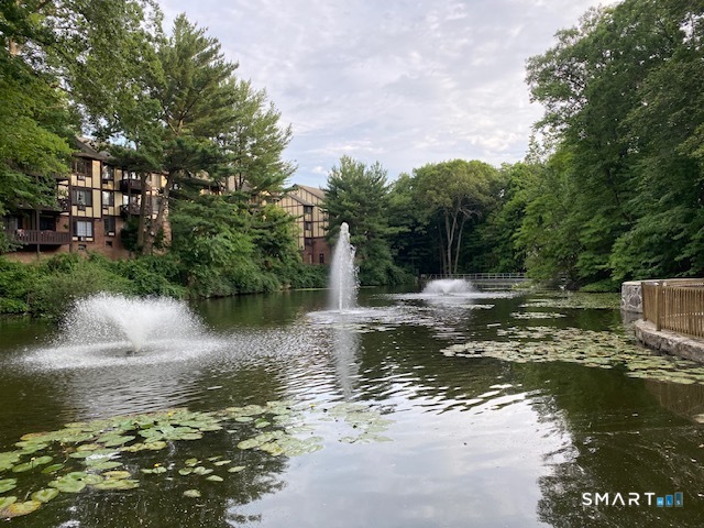 50 Aiken Street Norwalk CT 06851