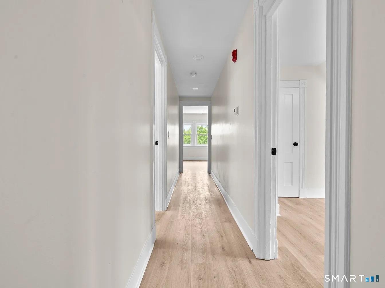 821 State Street New Haven CT 06511