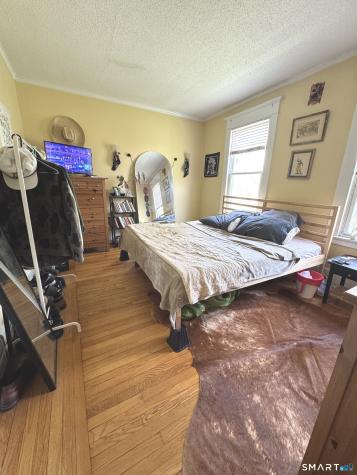1869 Chapel Street New Haven CT 06511
