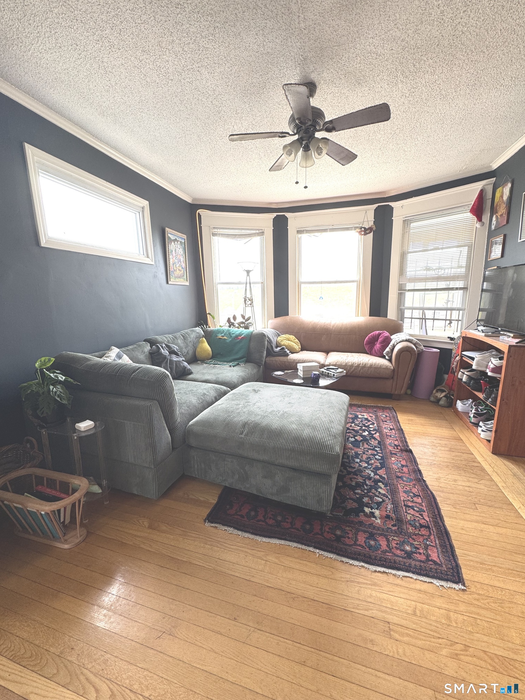1869 Chapel Street New Haven CT 06511