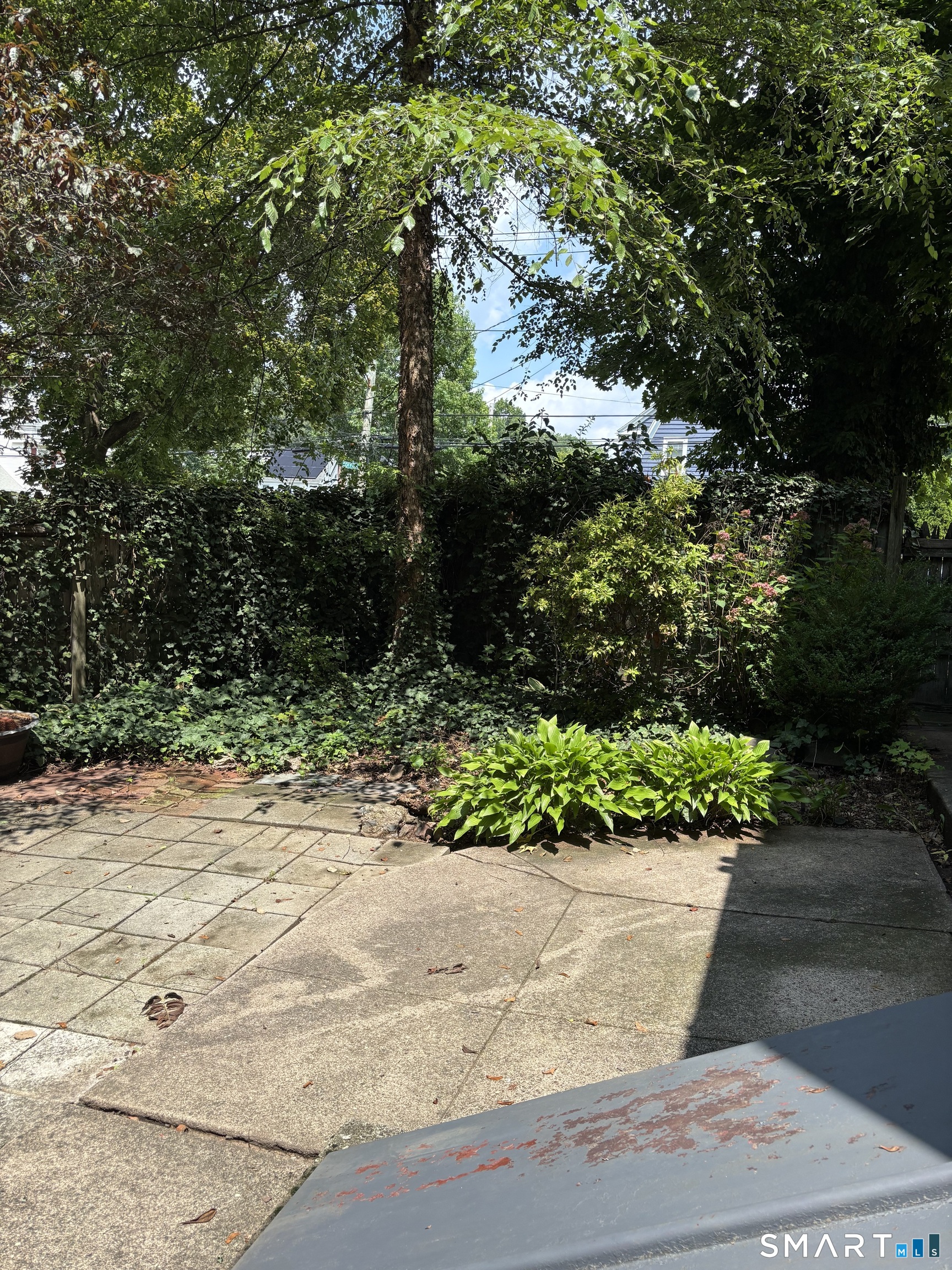 246 Goffe Terrace New Haven CT 06511