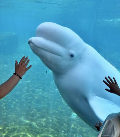 14 Godfrey Street Groton CT 06355