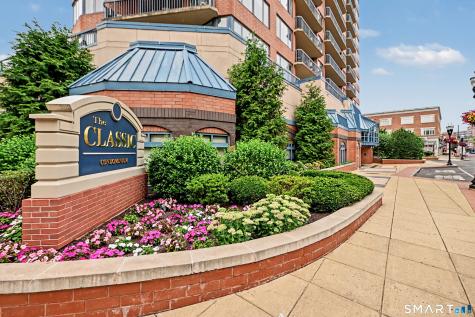 25 Forest Street Stamford CT 06901